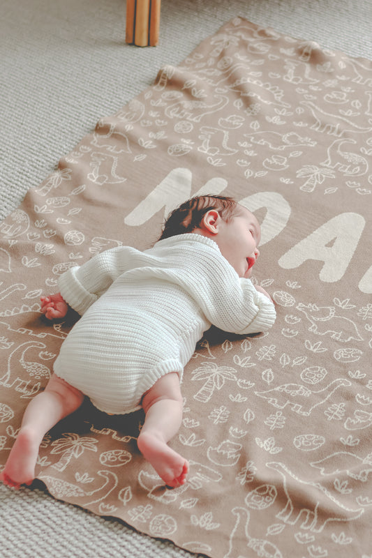 Dinosaur Blanket