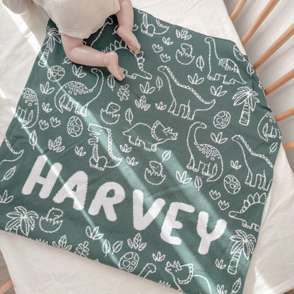 Dinosaur Blanket