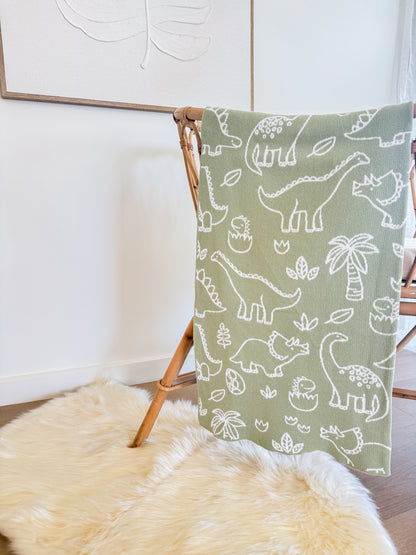 Dinosaur Blanket