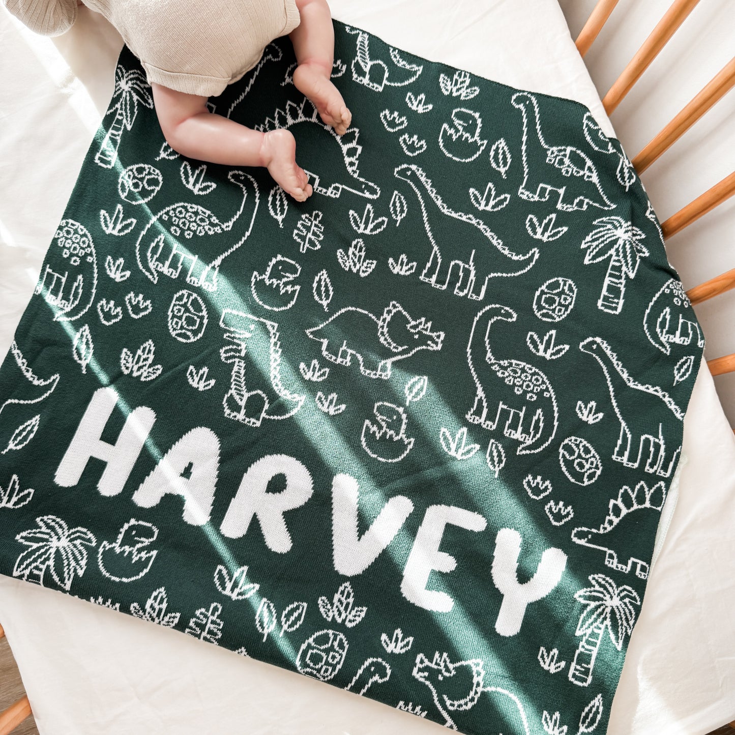 Dinosaur Blanket