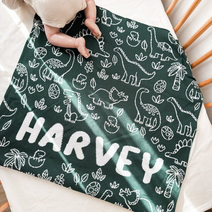 Dinosaur Blanket