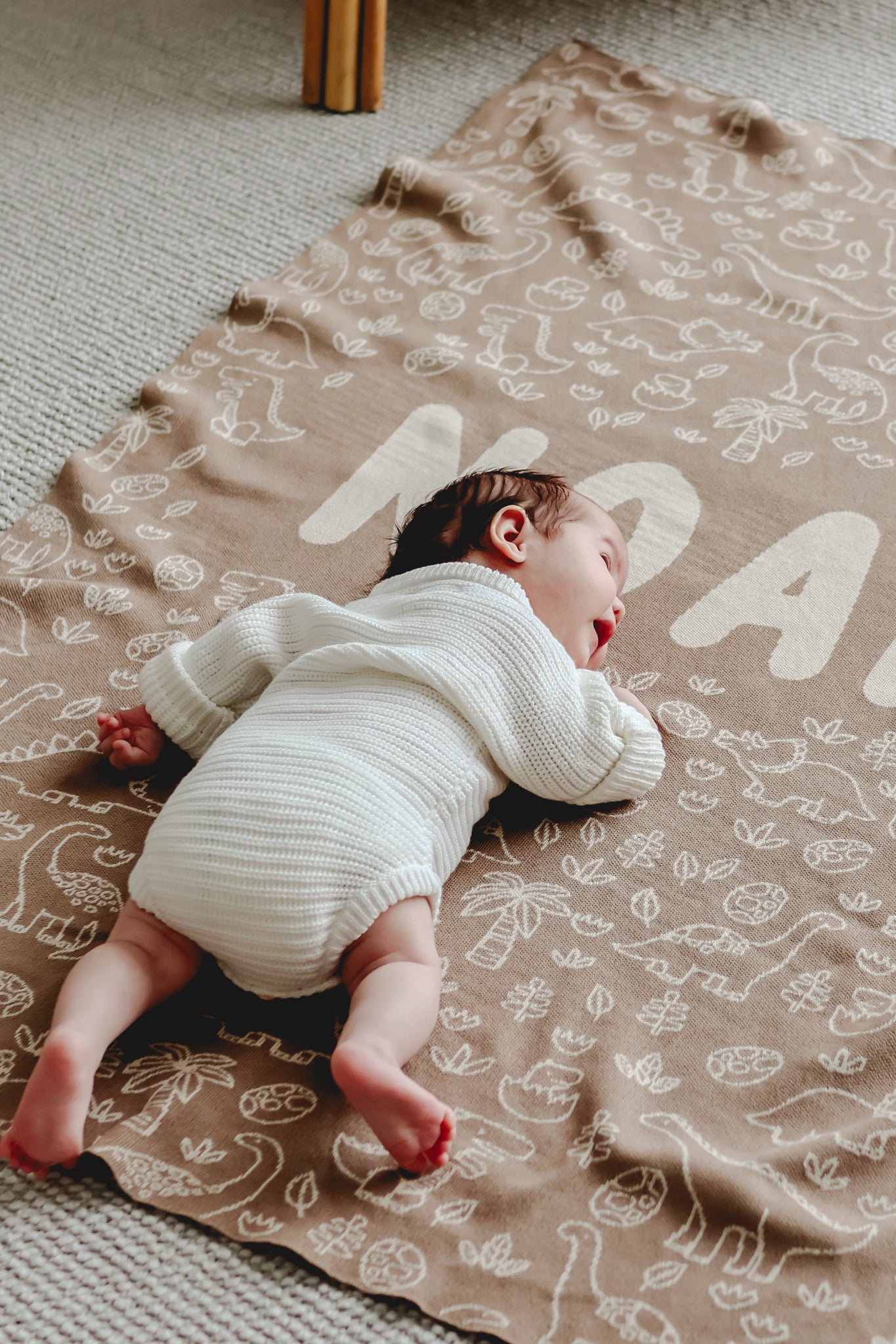 Dinosaur Blanket