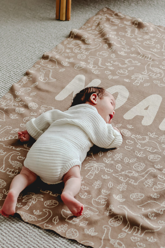 Dinosaur Blanket