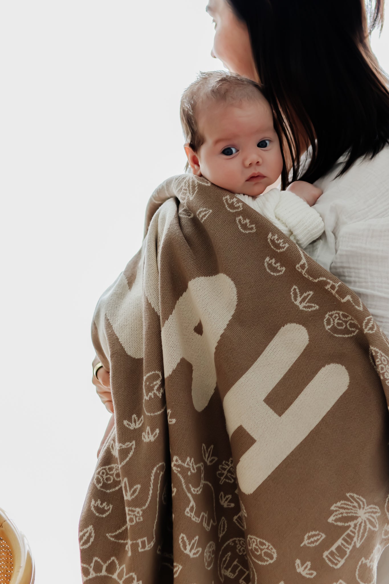 Dinosaur Blanket